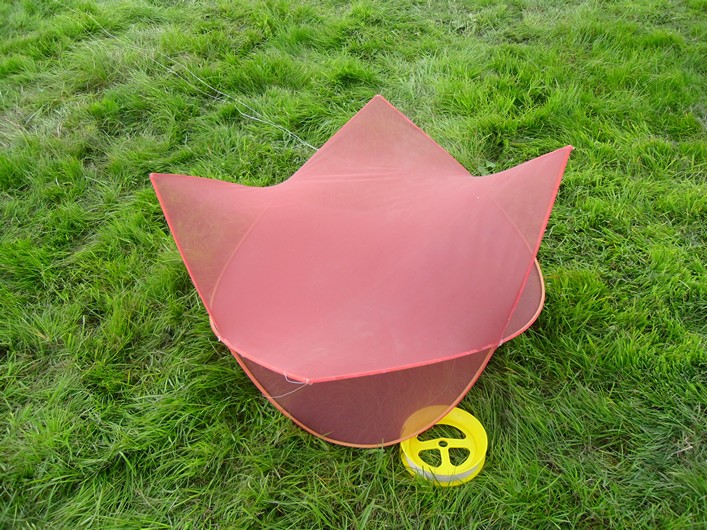 Malmesbury Kite Festival, 23-24 July, 2011 - 11mal23img031.jpg