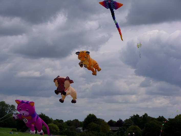 Malmesbury Kite Festival, 23-24 July, 2011 - 11mal23img037.jpg