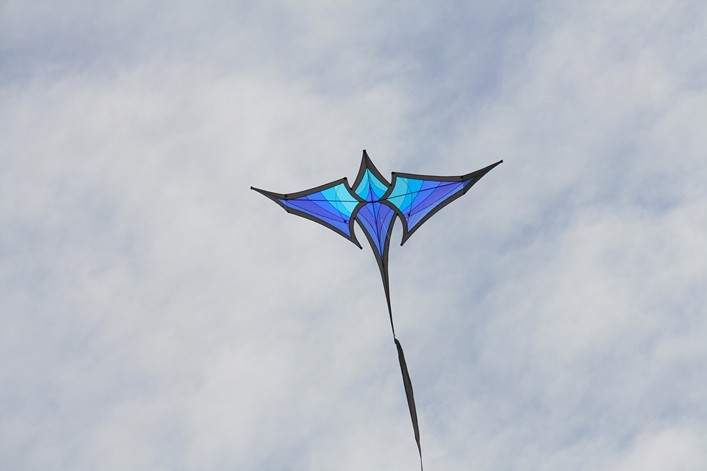 Malmesbury Kite Festival, 23-24 July, 2011 - 11mal23img066.jpg