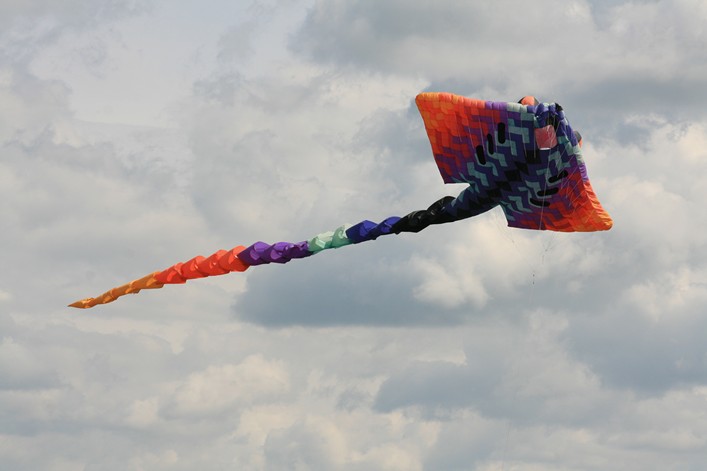 Malmesbury Kite Festival, 23-24 July, 2011 - 11mal23img068.jpg