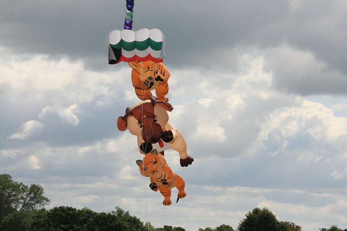 Malmesbury Kite Festival, 23-24 July, 2011 - 11mal24img023.jpg