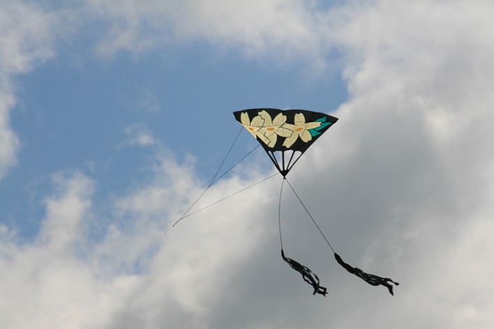 Malmesbury Kite Festival, 23-24 July, 2011 - 11mal24img033.jpg