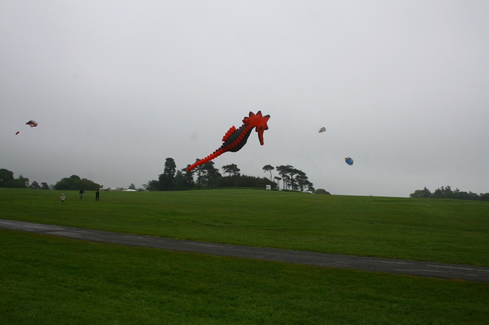 Margam Country Park, Wales, 3-4 June 2012 - 12mgm03img006.jpg