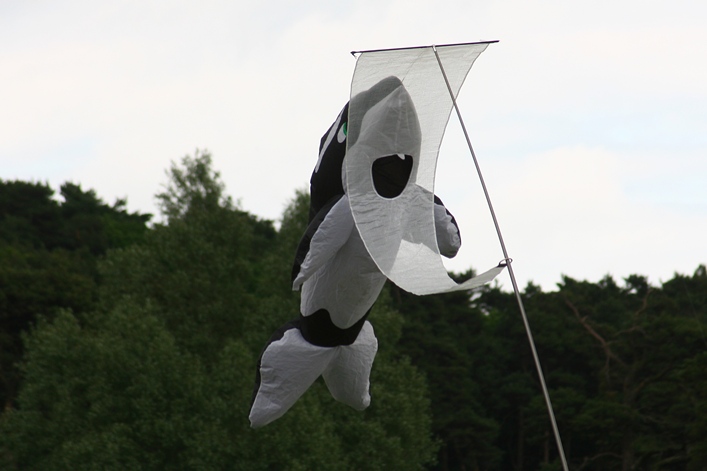 Margam Country Park, Wales, 3-4 June 2012 - 12mgm04img145.jpg