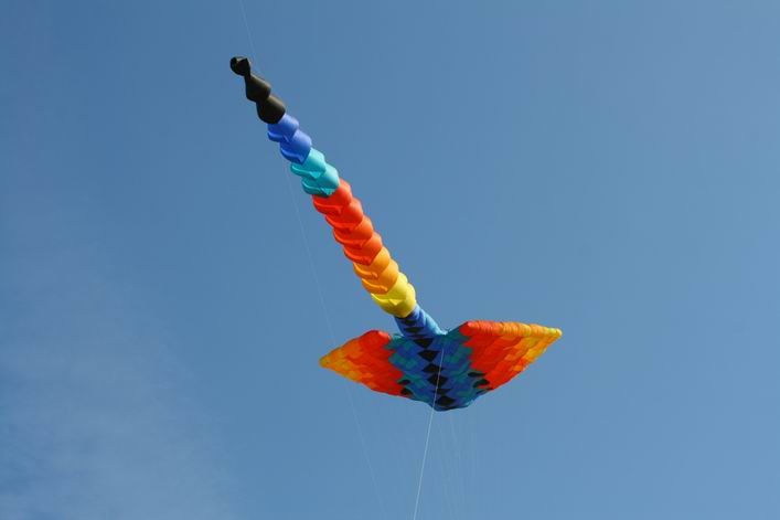 Margate 2008 - 08mar01img031.jpg