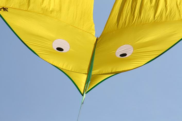 Margate 2008 - 08mar01img033.jpg