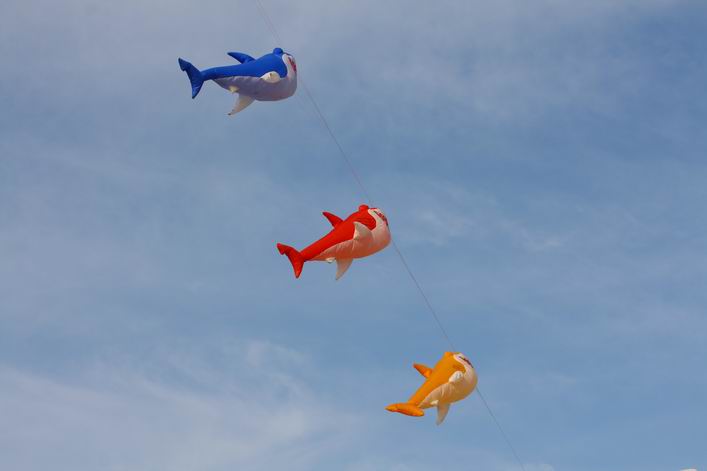 Margate 2008 - 08mar01img163.jpg