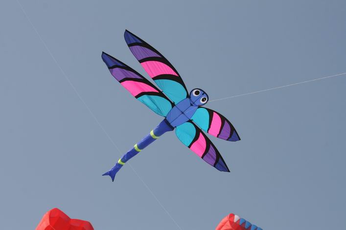 Margate 2009 - 09mar19img083.jpg