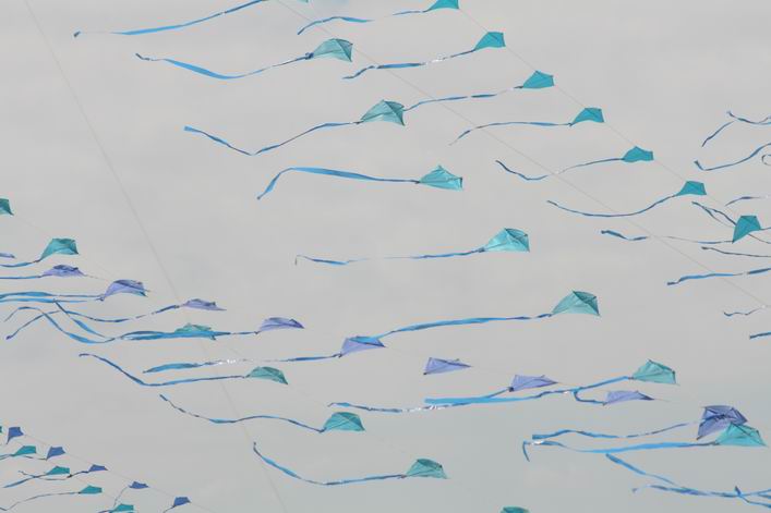 Notre Dame de Monts - 10not03img095.jpg