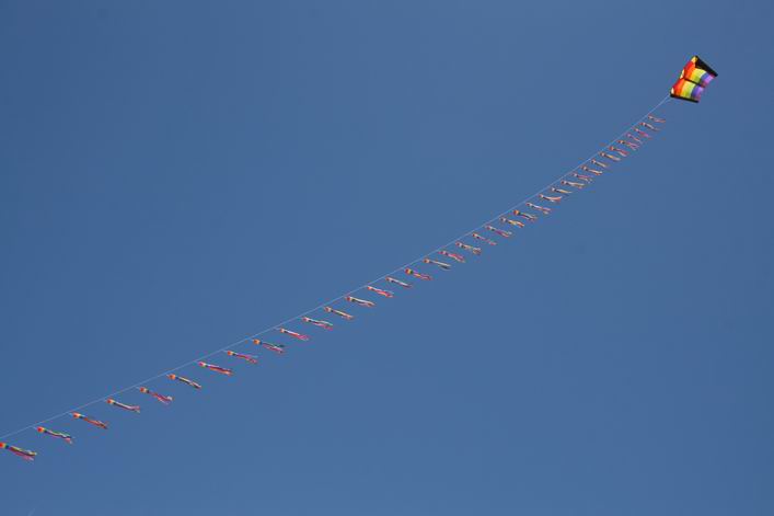 Notre Dame de Monts - 10not05img084.jpg