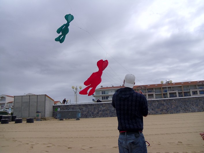 Notre Dame Kite Festival, France, 7-10 July 2011 - 11not07img011.jpg