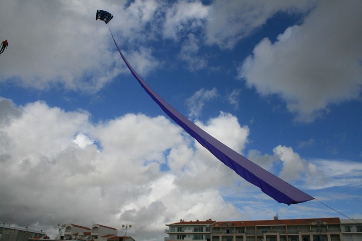 Notre Dame Kite Festival, France, 7-10 July 2011 - 11not07img198.jpg