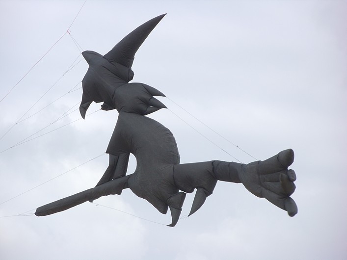 Notre Dame Kite Festival, France, 7-10 July 2011 - 11not08img008.jpg