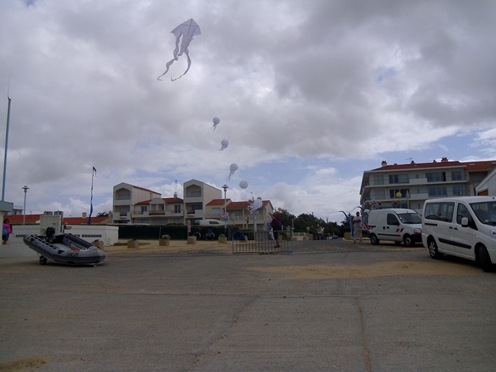 Notre Dame Kite Festival, France, 7-10 July 2011 - 11not08img031.jpg