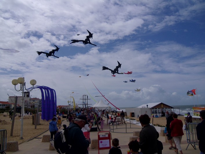 Notre Dame Kite Festival, France, 7-10 July 2011 - 11not08img051.jpg