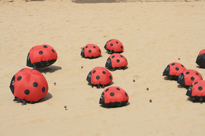 Notre Dame Kite Festival, France, 7-10 July 2011 - 11not08img090.jpg