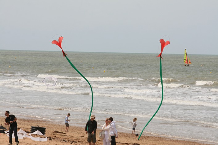 Notre Dame Kite Festival, France, 7-10 July 2011 - 11not08img100.jpg
