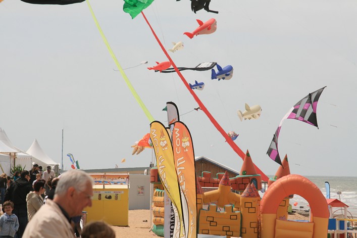 Notre Dame Kite Festival, France, 7-10 July 2011 - 11not08img103.jpg