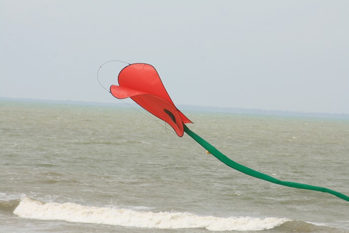 Notre Dame Kite Festival, France, 7-10 July 2011 - 11not08img109.jpg