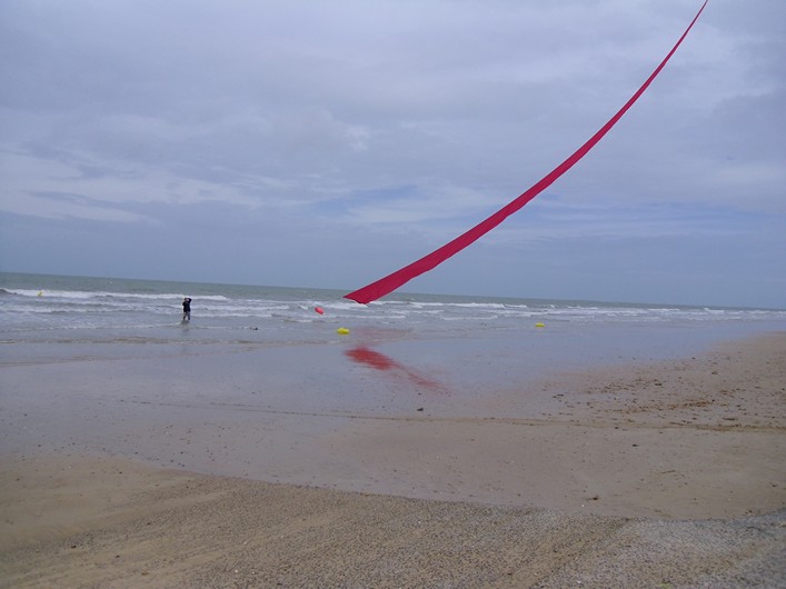 Notre Dame Kite Festival, France, 7-10 July 2011 - 11not08img151.jpg