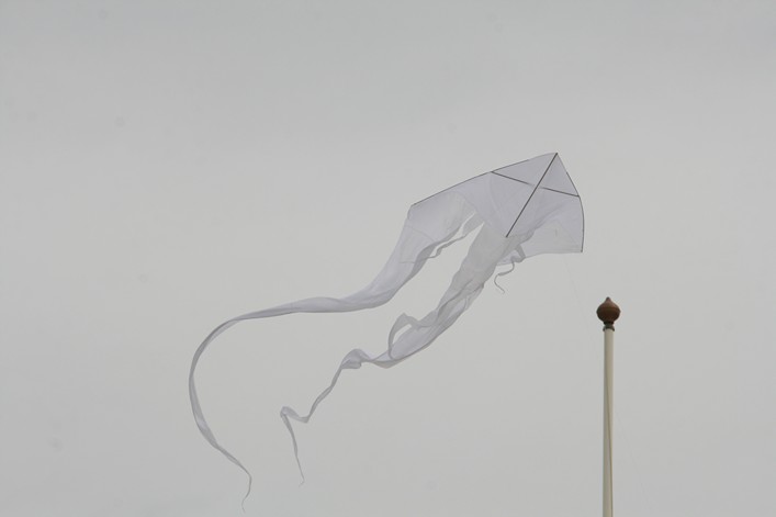 Notre Dame Kite Festival, France, 7-10 July 2011 - 11not08img154.jpg