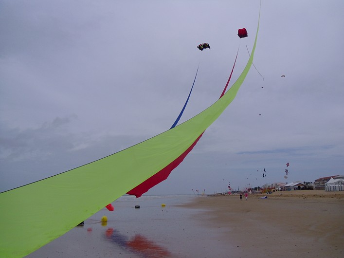 Notre Dame Kite Festival, France, 7-10 July 2011 - 11not08img161.jpg