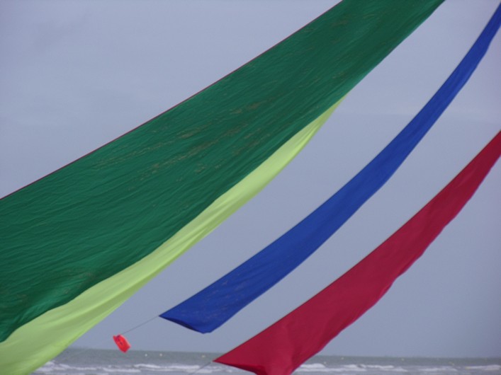 Notre Dame Kite Festival, France, 7-10 July 2011 - 11not08img164.jpg