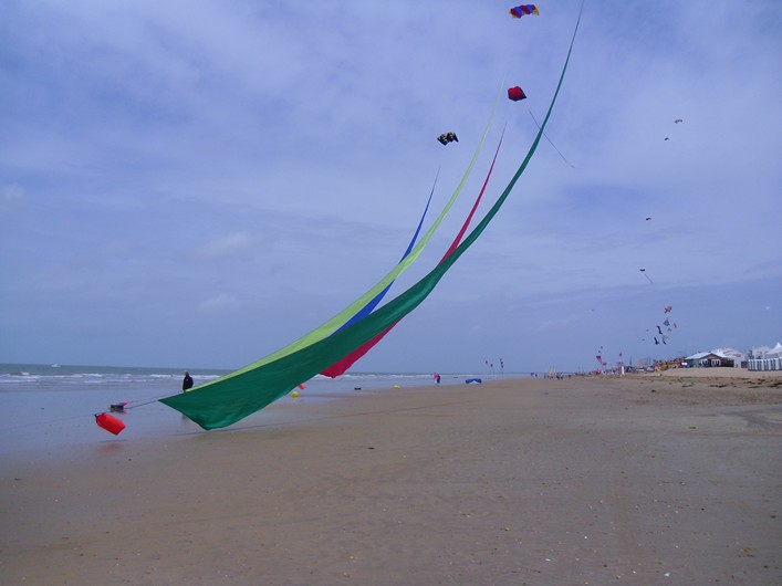 Notre Dame Kite Festival, France, 7-10 July 2011 - 11not08img165.jpg