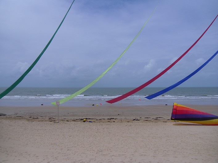 Notre Dame Kite Festival, France, 7-10 July 2011 - 11not08img170.jpg