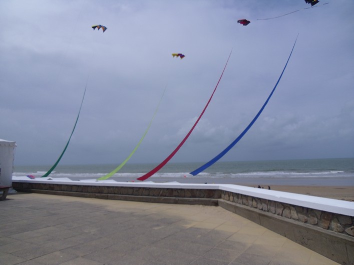 Notre Dame Kite Festival, France, 7-10 July 2011 - 11not08img172.jpg