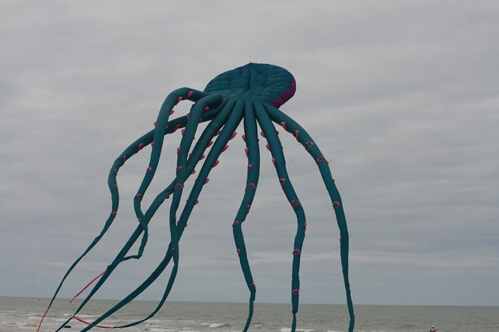 Notre Dame Kite Festival, France, 7-10 July 2011 - 11not09img011.jpg