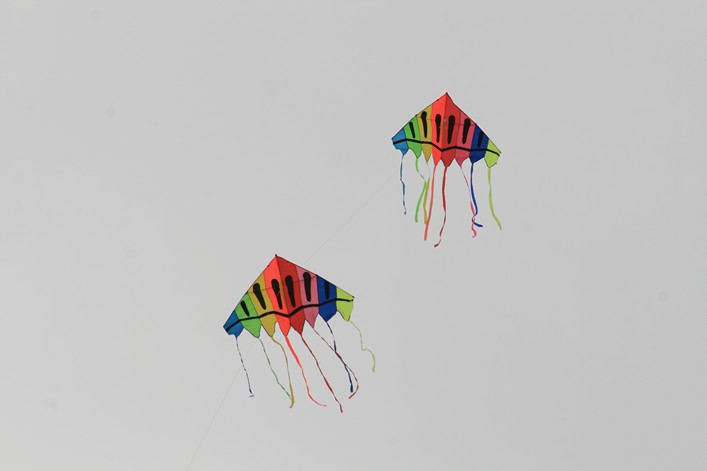 Notre Dame Kite Festival, France, 7-10 July 2011 - 11not09img020.jpg