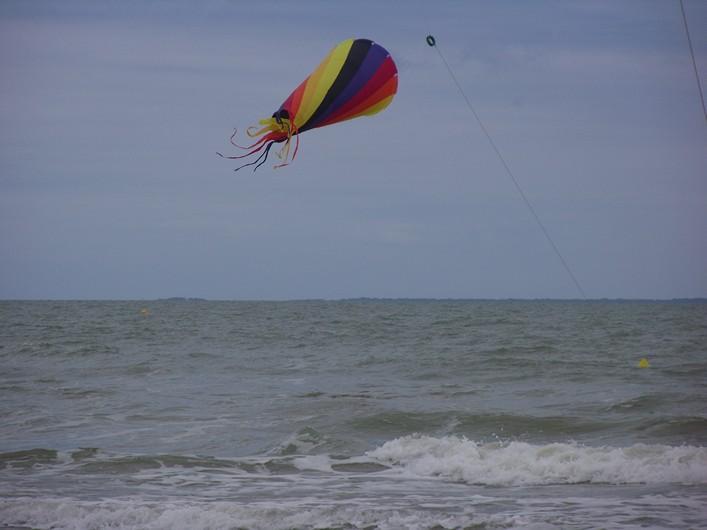 Notre Dame Kite Festival, France, 7-10 July 2011 - 11not09img058.jpg