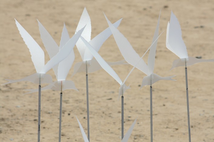 Notre Dame Kite Festival, France, 7-10 July 2011 - 11not09img105.jpg