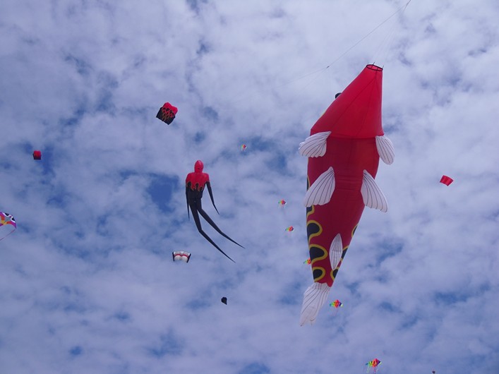 Notre Dame Kite Festival, France, 7-10 July 2011 - 11not09img141.jpg