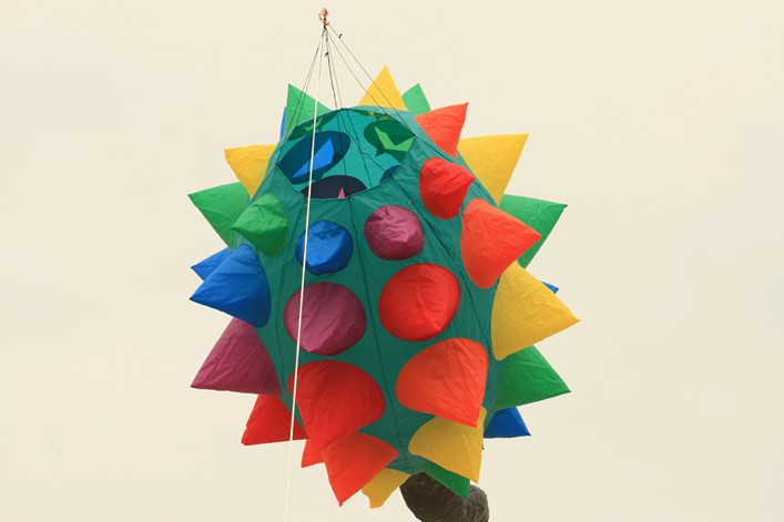 Notre Dame Kite Festival, France, 7-10 July 2011 - 11not09img179.jpg