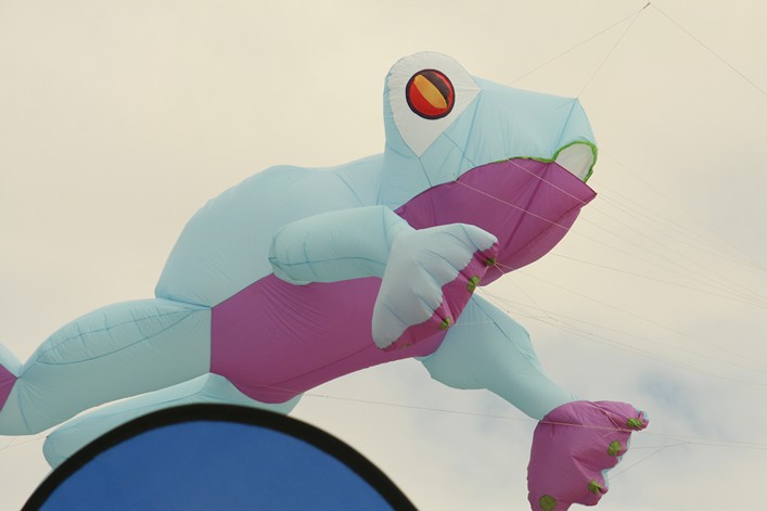 Notre Dame Kite Festival, France, 7-10 July 2011 - 11not09img195.jpg