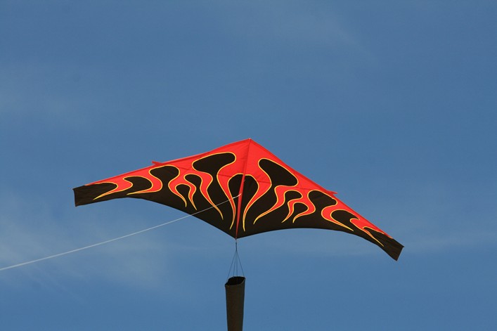 Notre Dame Kite Festival, France, 7-10 July 2011 - 11not09img203.jpg