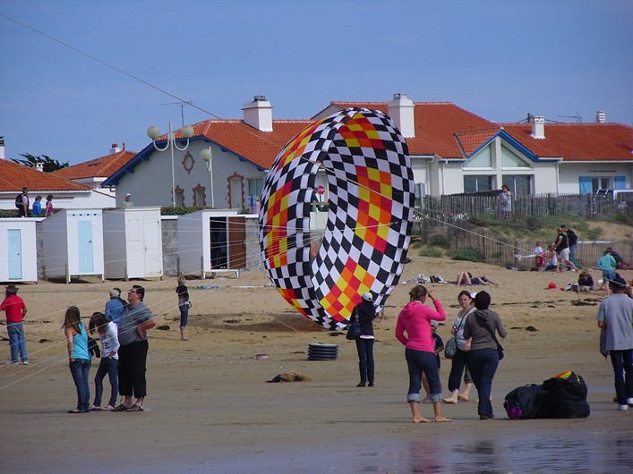 Notre Dame Kite Festival, France, 7-10 July 2011 - 11not09img217.jpg