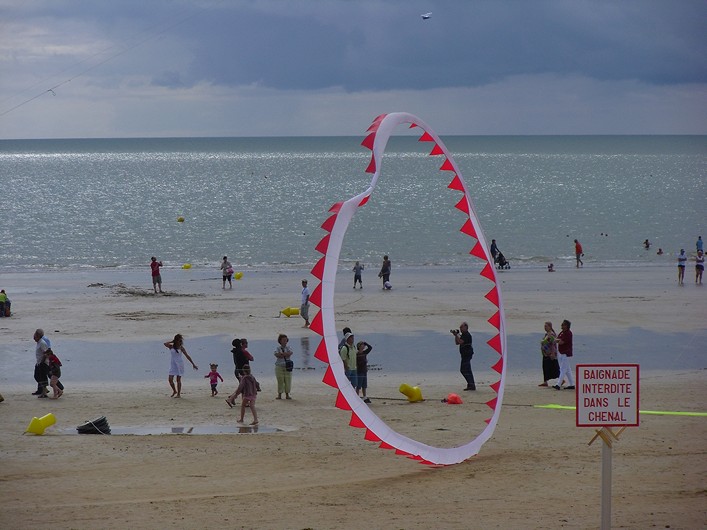 Notre Dame Kite Festival, France, 7-10 July 2011 - 11not09img228.jpg