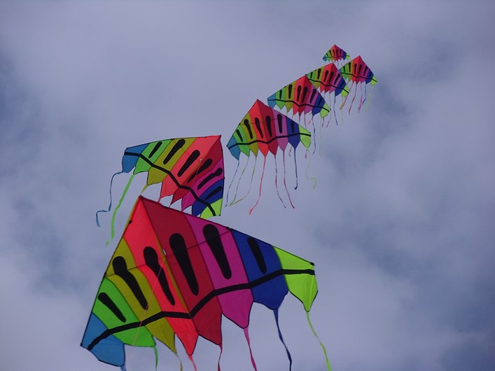 Notre Dame Kite Festival, France, 7-10 July 2011 - 11not09img237.jpg