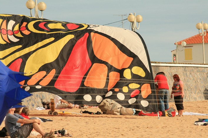 Notre Dame Kite Festival, France, 7-10 July 2011 - 11not09img248.jpg