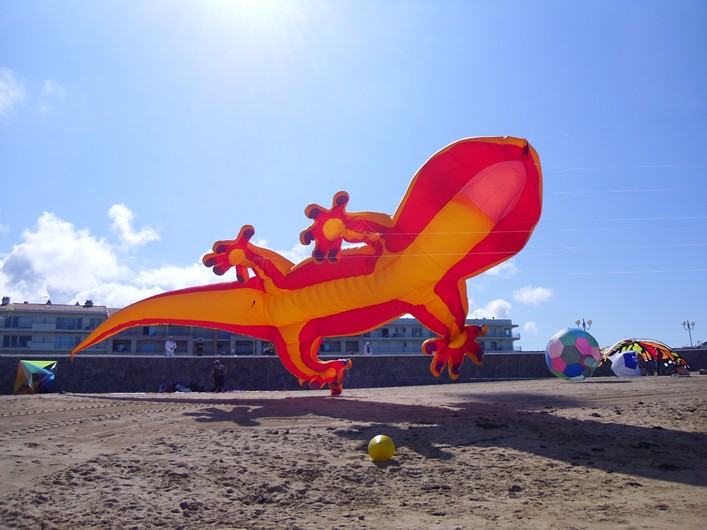 Notre Dame Kite Festival, France, 7-10 July 2011 - 11not10img004.jpg