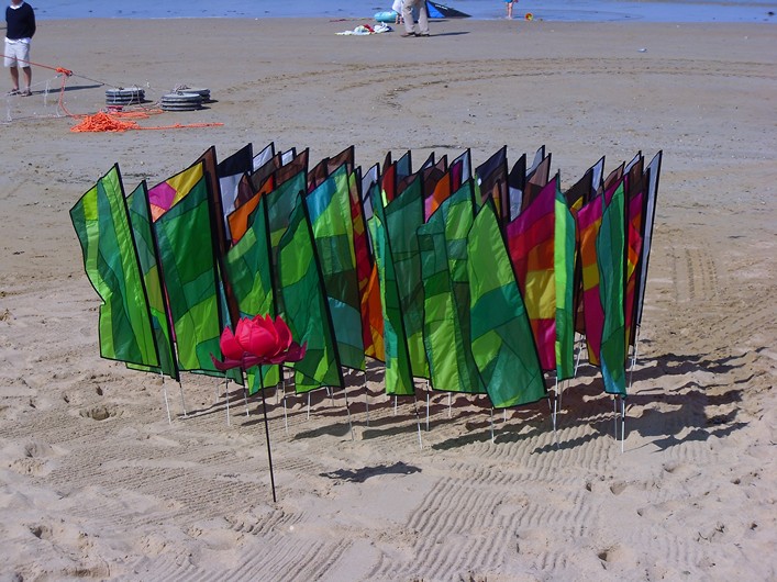 Notre Dame Kite Festival, France, 7-10 July 2011 - 11not10img010.jpg