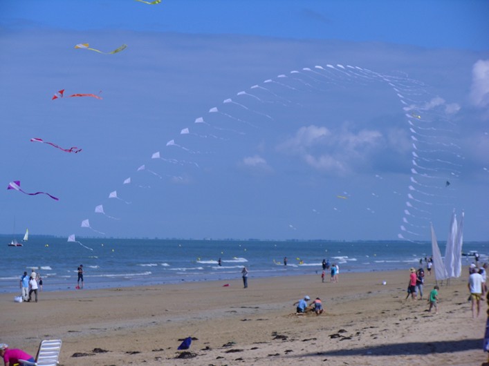 Notre Dame Kite Festival, France, 7-10 July 2011 - 11not10img012.jpg