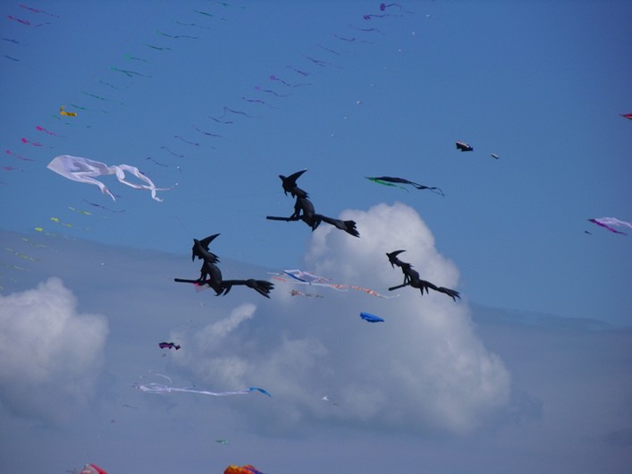 Notre Dame Kite Festival, France, 7-10 July 2011 - 11not10img029.jpg
