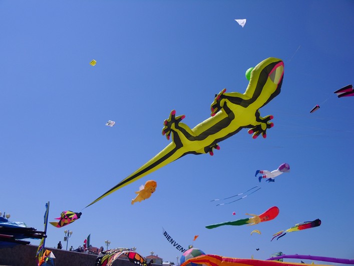 Notre Dame Kite Festival, France, 7-10 July 2011 - 11not10img035.jpg