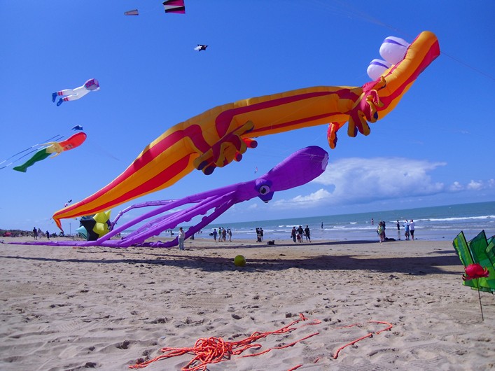 Notre Dame Kite Festival, France, 7-10 July 2011 - 11not10img038.jpg