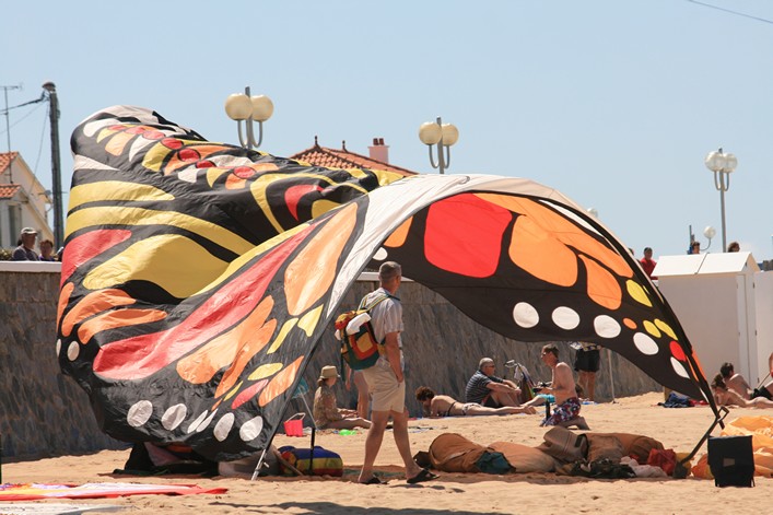 Notre Dame Kite Festival, France, 7-10 July 2011 - 11not10img046.jpg