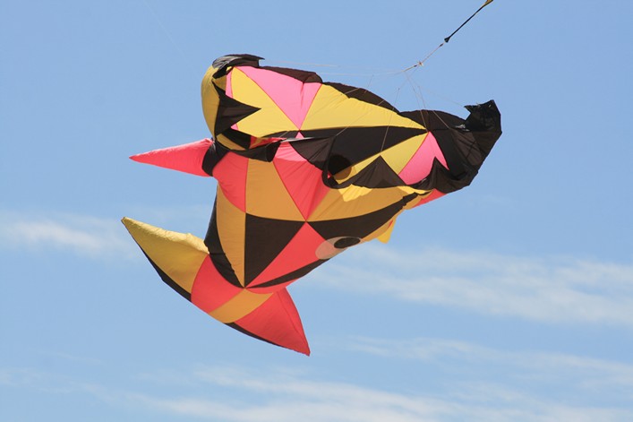 Notre Dame Kite Festival, France, 7-10 July 2011 - 11not10img100.jpg